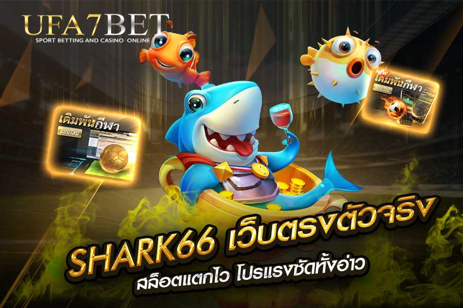 SHARK66